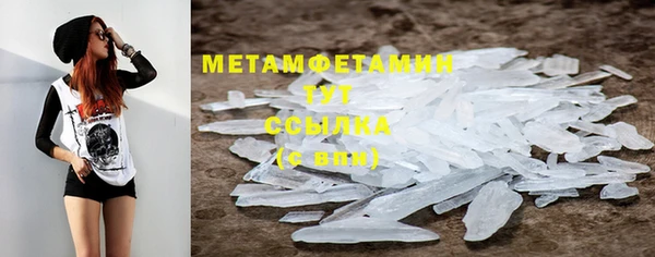 гидра Аркадак
