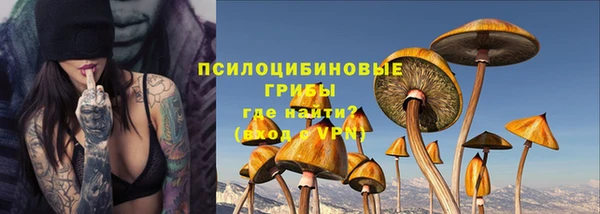 гидра Аркадак