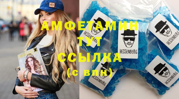 гидра Аркадак