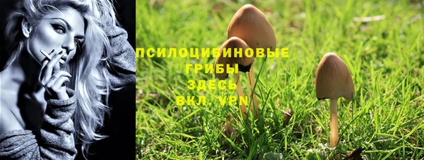 гидра Аркадак