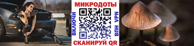Псилоцибиновые грибы Psilocybe  Красный Холм 